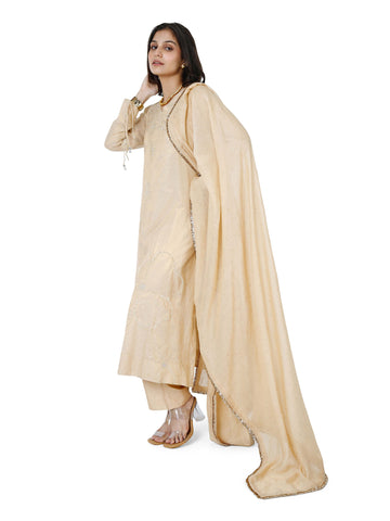 Gold Tissue Pita Kurta Set